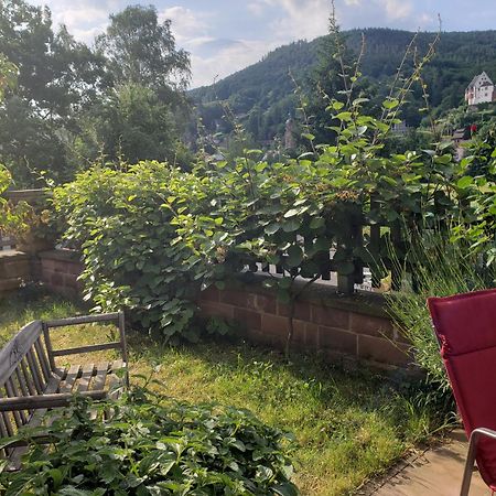 Panorama-Blick Miltenberg, 3 Pers., Zentr., Am Main, Terrasse, Bootverleih, P Luaran gambar