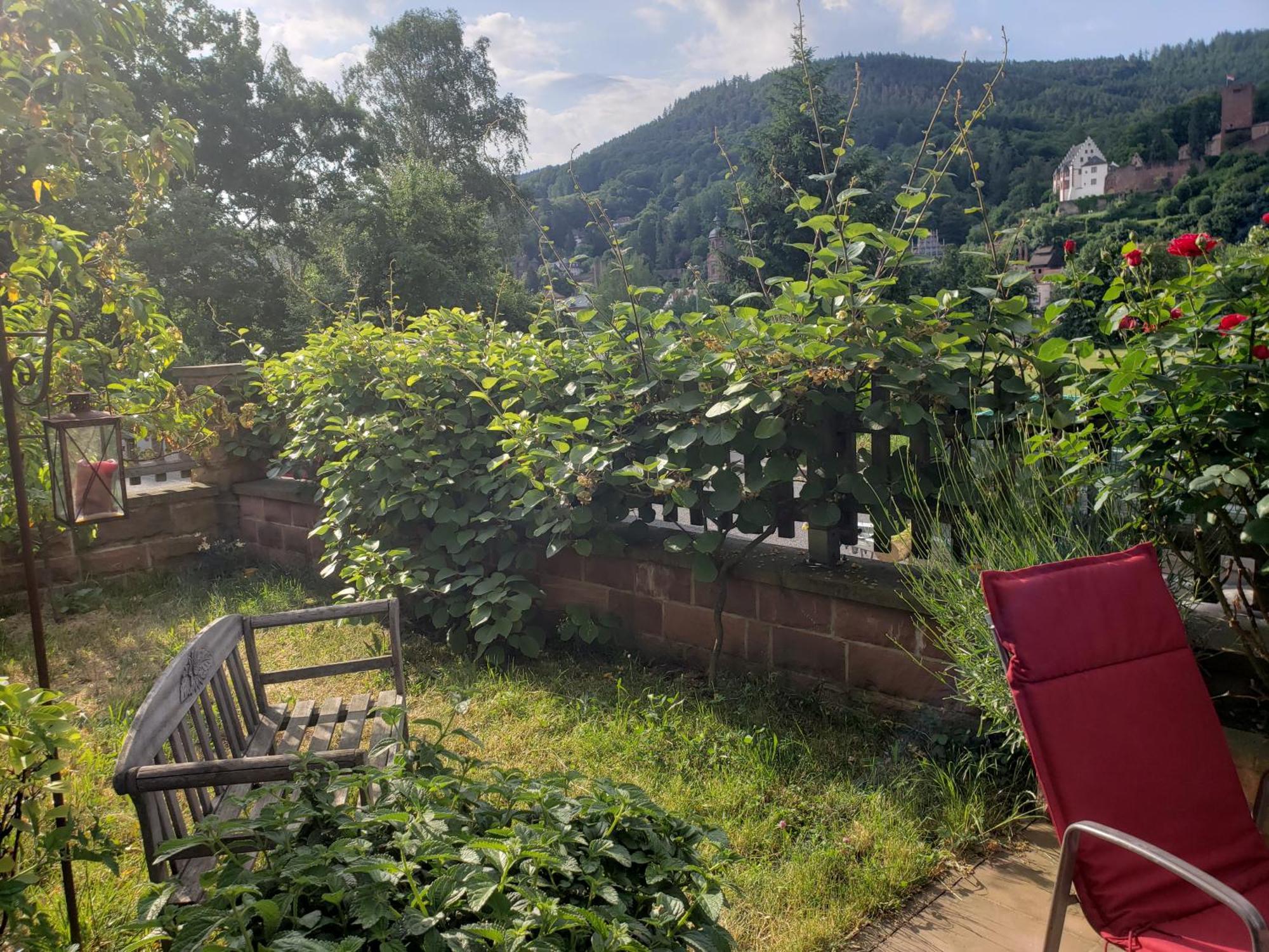 Panorama-Blick Miltenberg, 3 Pers., Zentr., Am Main, Terrasse, Bootverleih, P Luaran gambar