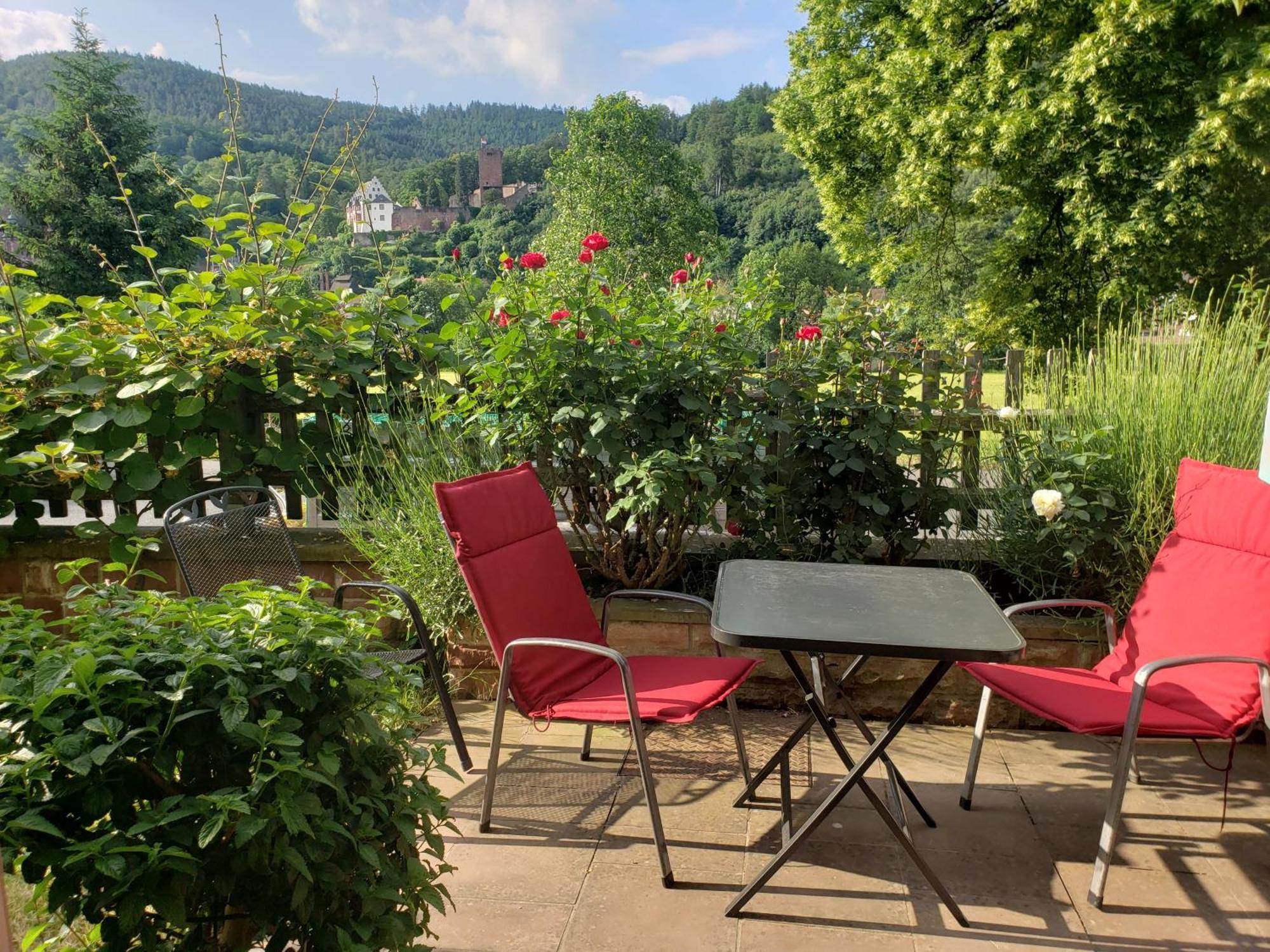 Panorama-Blick Miltenberg, 3 Pers., Zentr., Am Main, Terrasse, Bootverleih, P Apartment Luaran gambar