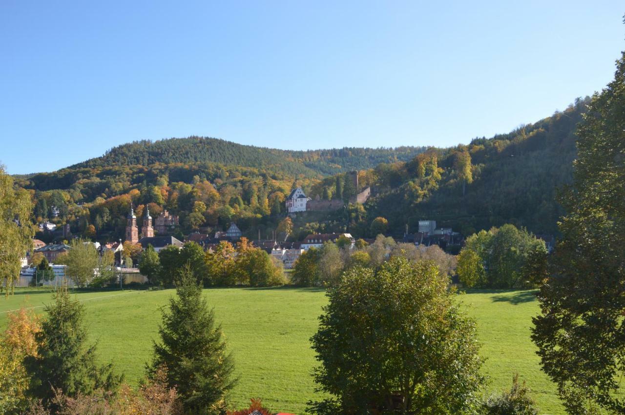 Panorama-Blick Miltenberg, 3 Pers., Zentr., Am Main, Terrasse, Bootverleih, P Apartment Luaran gambar