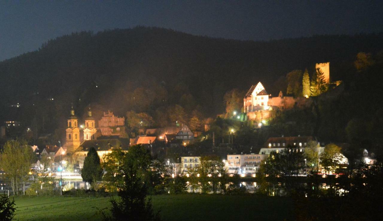 Panorama-Blick Miltenberg, 3 Pers., Zentr., Am Main, Terrasse, Bootverleih, P Apartment Luaran gambar