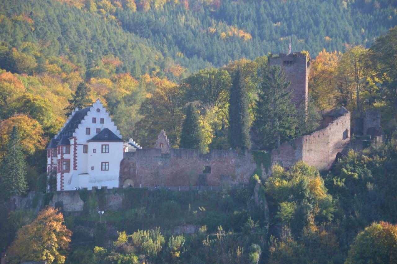 Panorama-Blick Miltenberg, 3 Pers., Zentr., Am Main, Terrasse, Bootverleih, P Apartment Luaran gambar