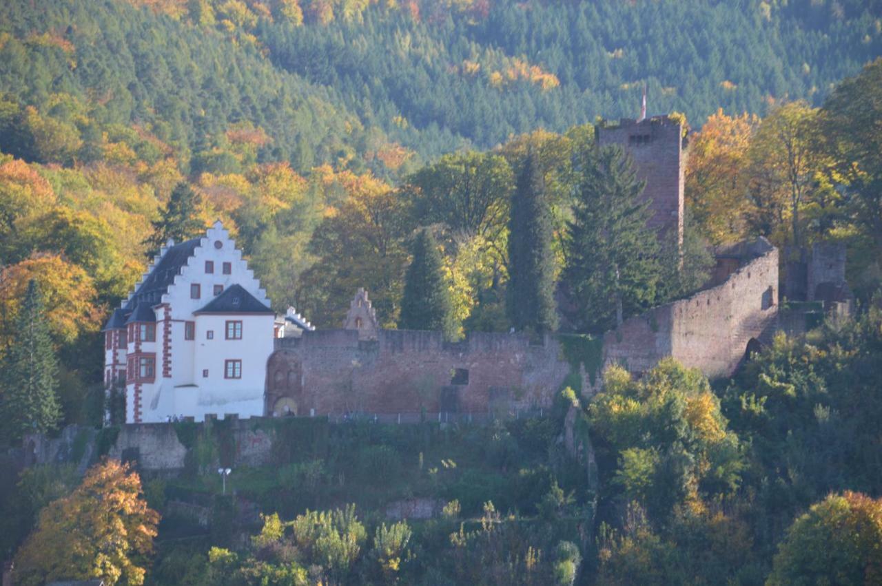 Panorama-Blick Miltenberg, 3 Pers., Zentr., Am Main, Terrasse, Bootverleih, P Luaran gambar