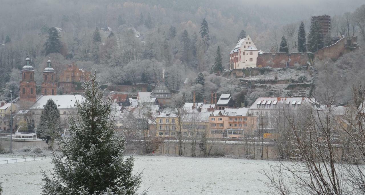 Panorama-Blick Miltenberg, 3 Pers., Zentr., Am Main, Terrasse, Bootverleih, P Apartment Luaran gambar