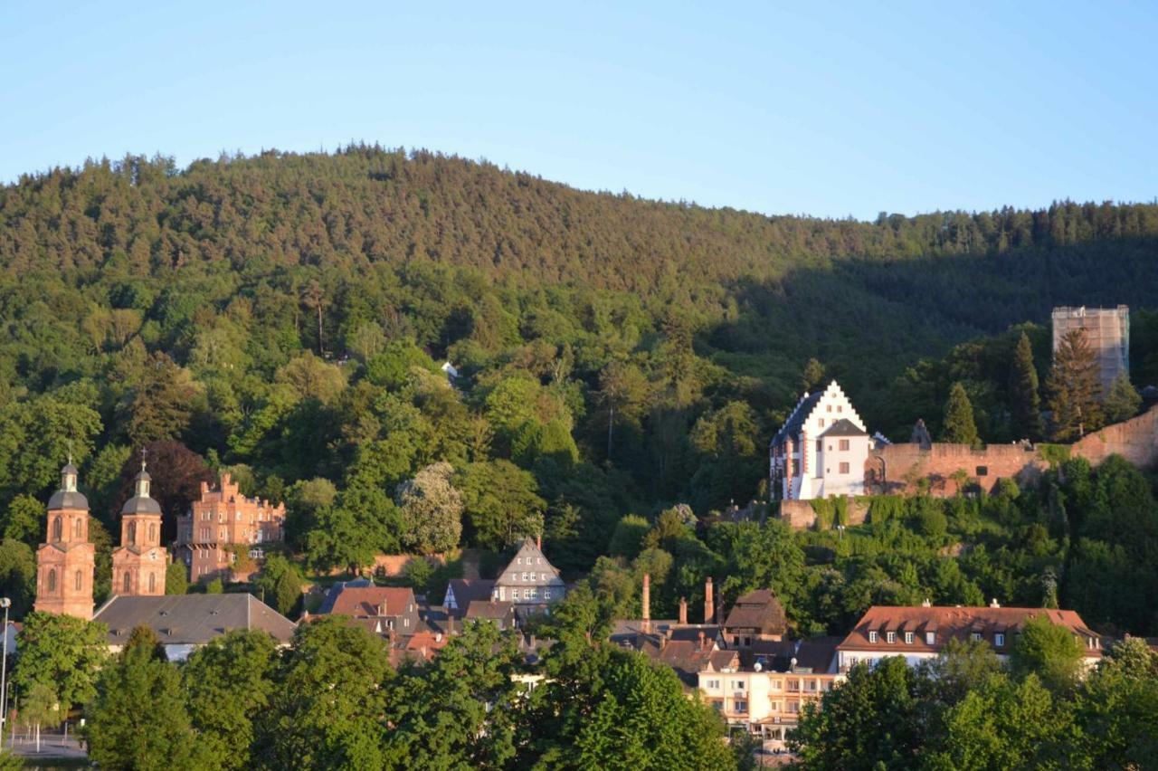 Panorama-Blick Miltenberg, 3 Pers., Zentr., Am Main, Terrasse, Bootverleih, P Apartment Luaran gambar