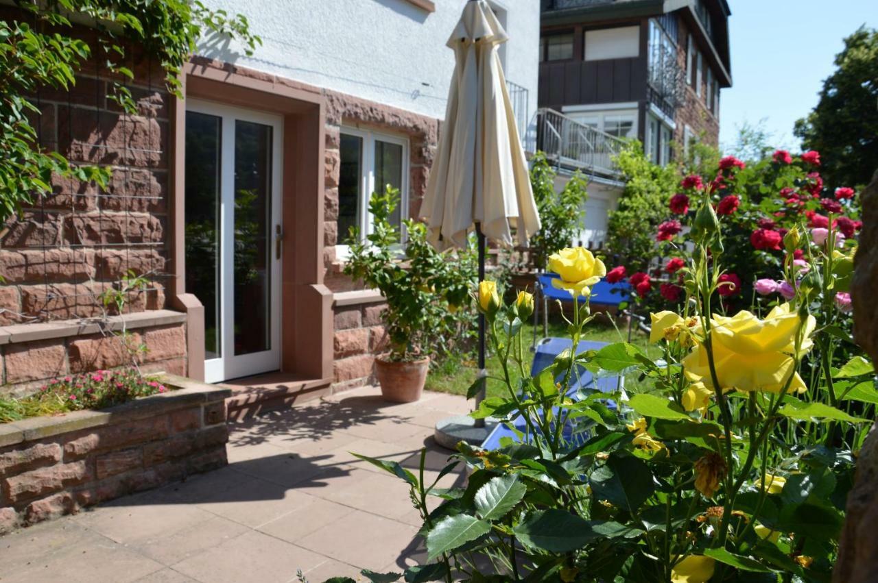 Panorama-Blick Miltenberg, 3 Pers., Zentr., Am Main, Terrasse, Bootverleih, P Apartment Luaran gambar